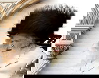 לראשונה בהיסטוריה! "אני ערב שתישמע בקשתו"