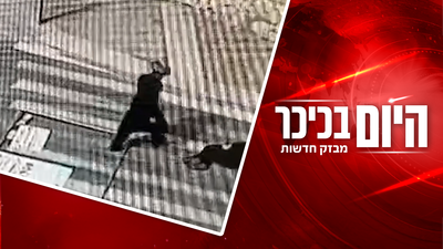 אלימות חסרת תקדים: חרדים תוקפים חרדים | כשהראש לא עובד - כל הגוף סובל • צפו