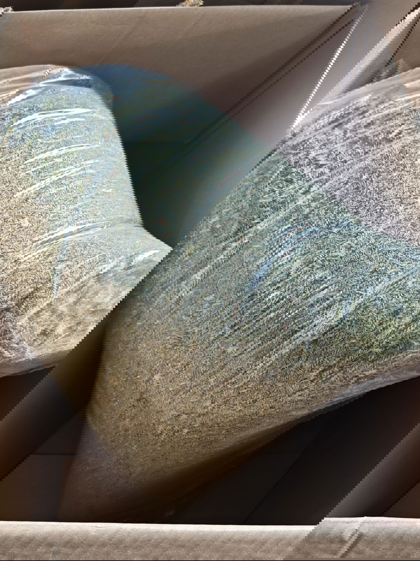 התפיסה המשטרתית במושב