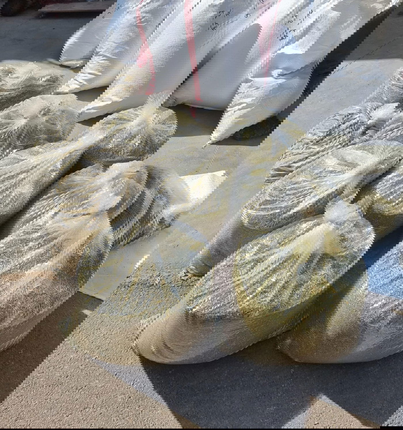 התפיסה המשטרתית במושב