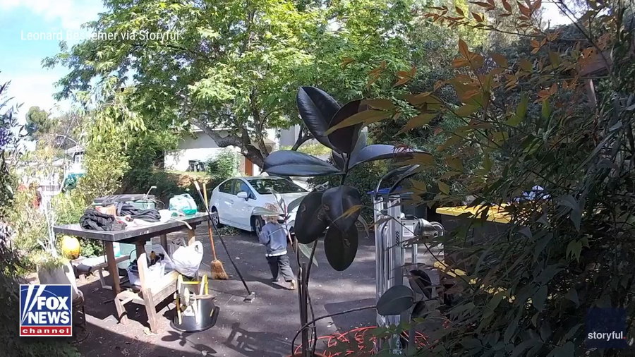 התיעוד ממצלמות האבטחה