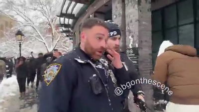 ניו יורק: השליכו שלג על שוטרים - ומבוקשים לחקירה | ממדאני: "סתם מלחמת שלג"