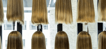 פאה במתנה? סקר הפאות הגדול  - 5 נשים יקבלו פאה • כנסו >>  