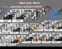 בכירי הארגון