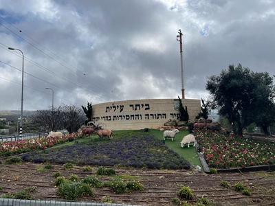 דו"ח מועצת יש"ע חושף: החרדים מובילים את צמיחת ההתיישבות היהודית