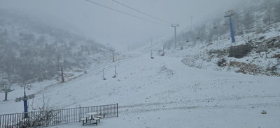 בוקר לבן על הר החרמון: כ-5 ס״מ של שלג נערמו במהלך הלילה