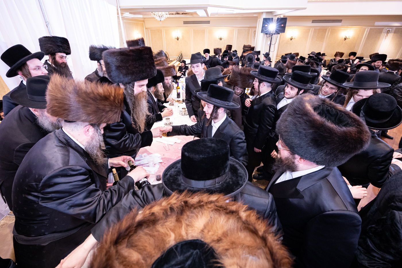 שמחת בית אמשינוב - סטרעטין - דראבהיטש