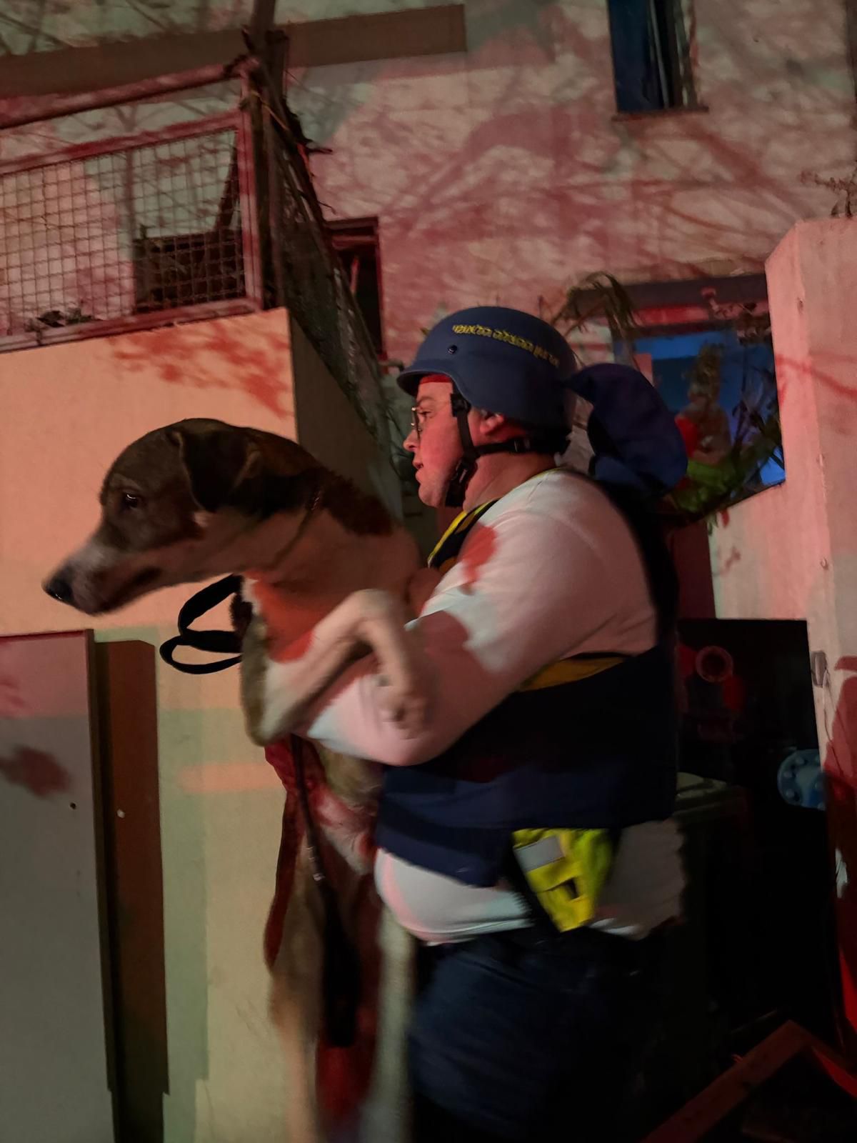 מהנפילה בתל אביב