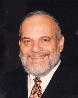 הרב דוב ברל ויין