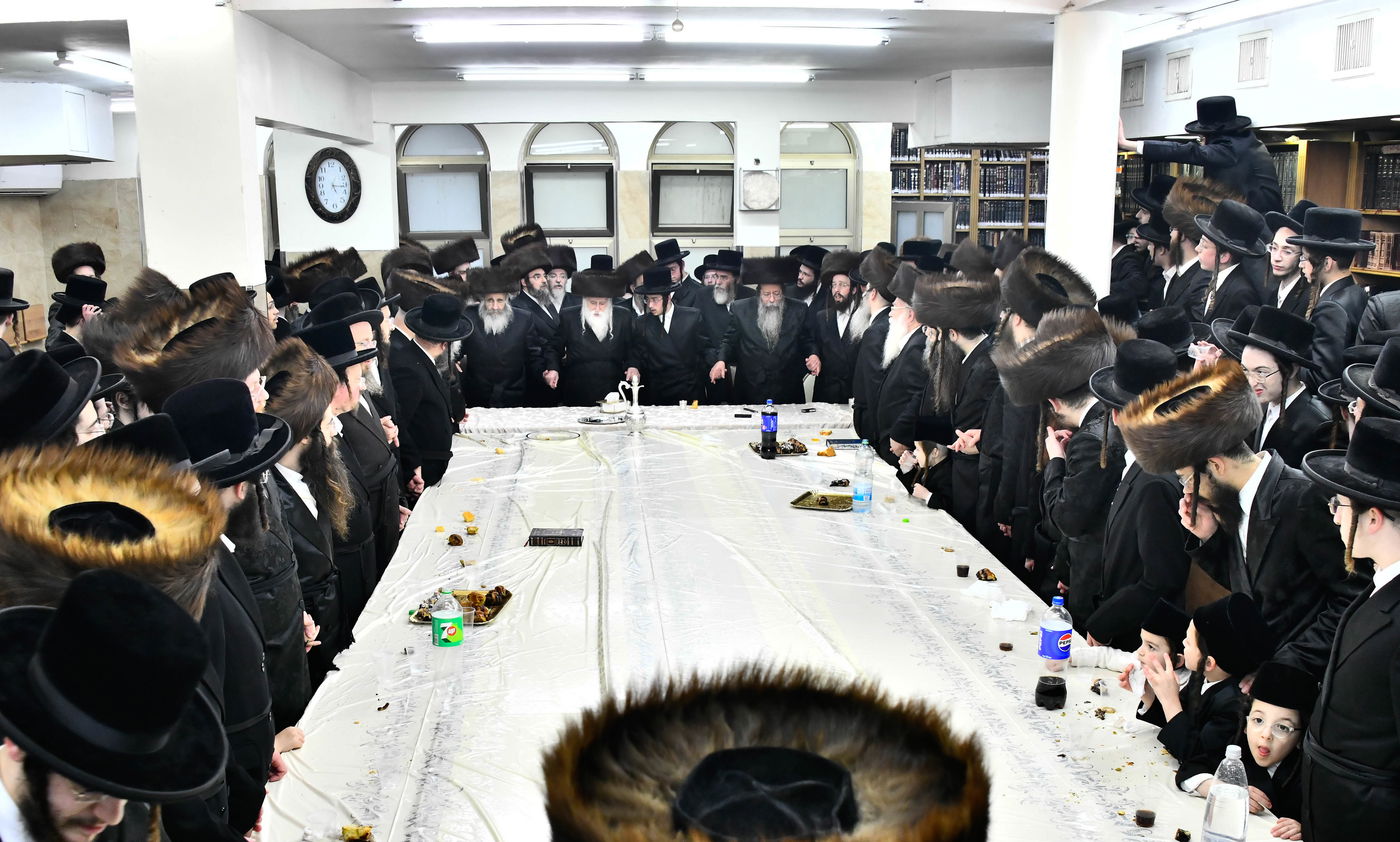 שמחת בית מכנובקא בעלזא - שבט הלוי - גורליץ