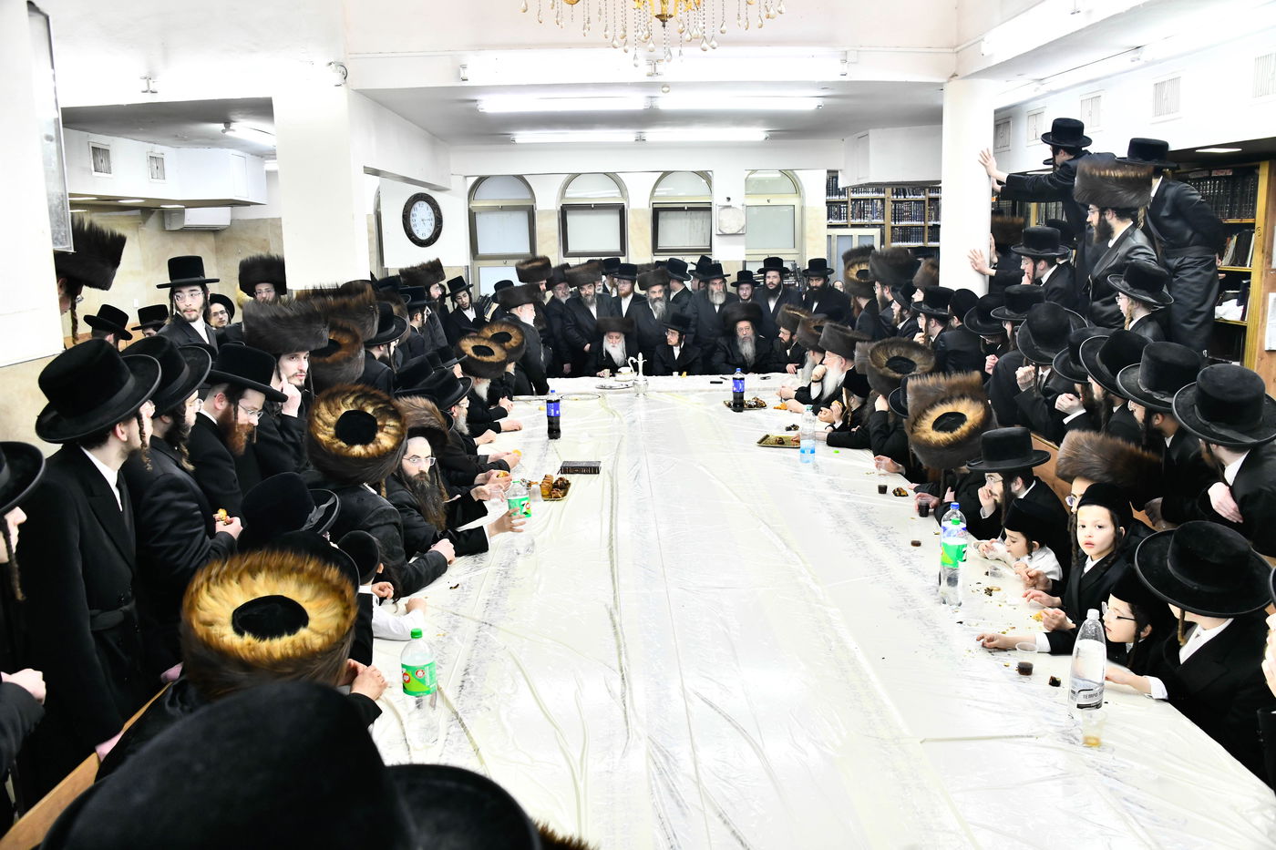 שמחת בית מכנובקא בעלזא - שבט הלוי - גורליץ