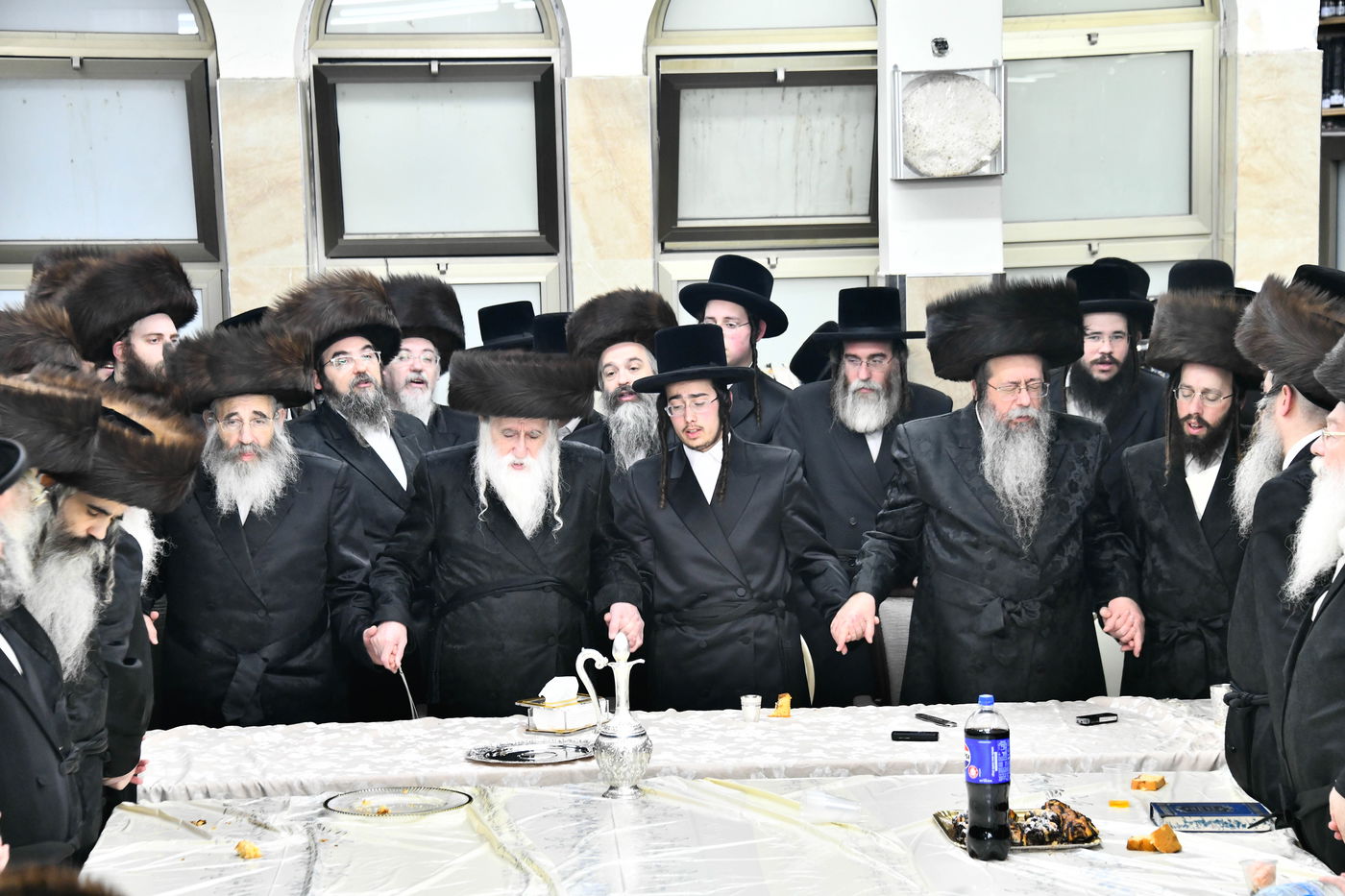 שמחת בית מכנובקא בעלזא - שבט הלוי - גורליץ