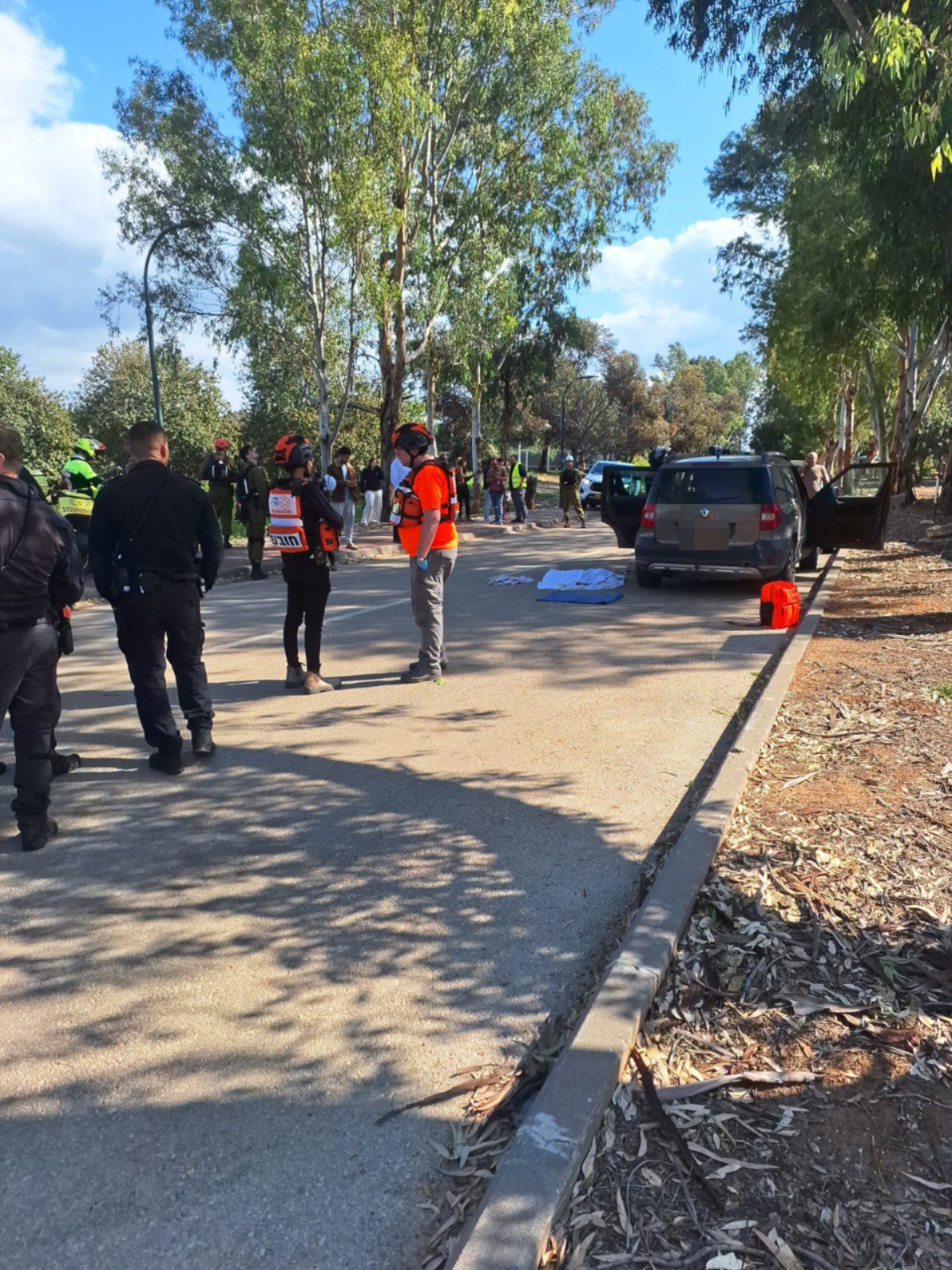 מאחת הזירות במרכז הארץ - נהג רכב טופל בחרדה, וכלב נהרג. 