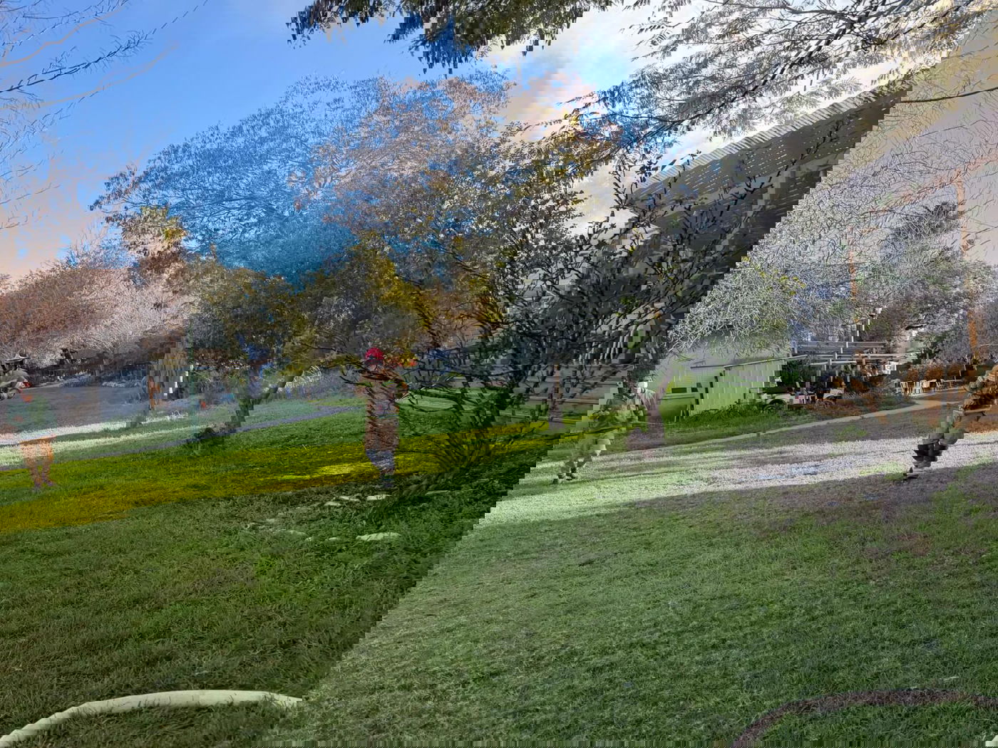 באיראן אישרו - חמינאי חוסל, ומאיימים במכה קשה | טראמפ מאיים בחזרה | שעה של ירי לישראל