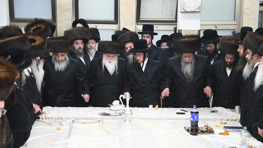 שמחת בית מכנובקא בעלזא - שבט הלוי