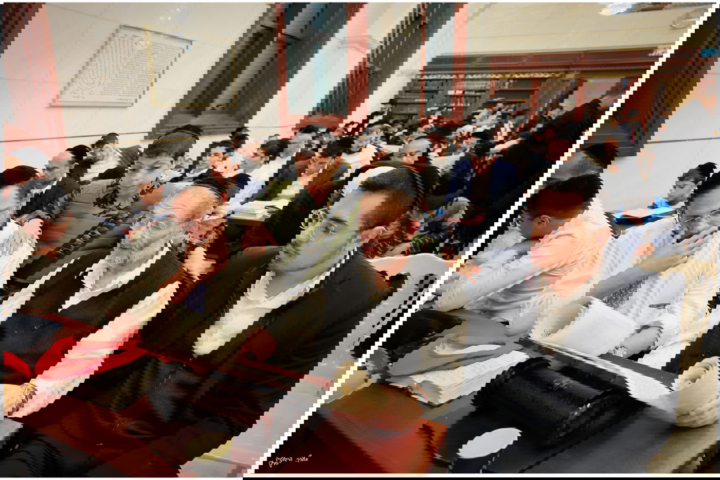 הגאון הרב יגאל כהן בקריאת המגילה