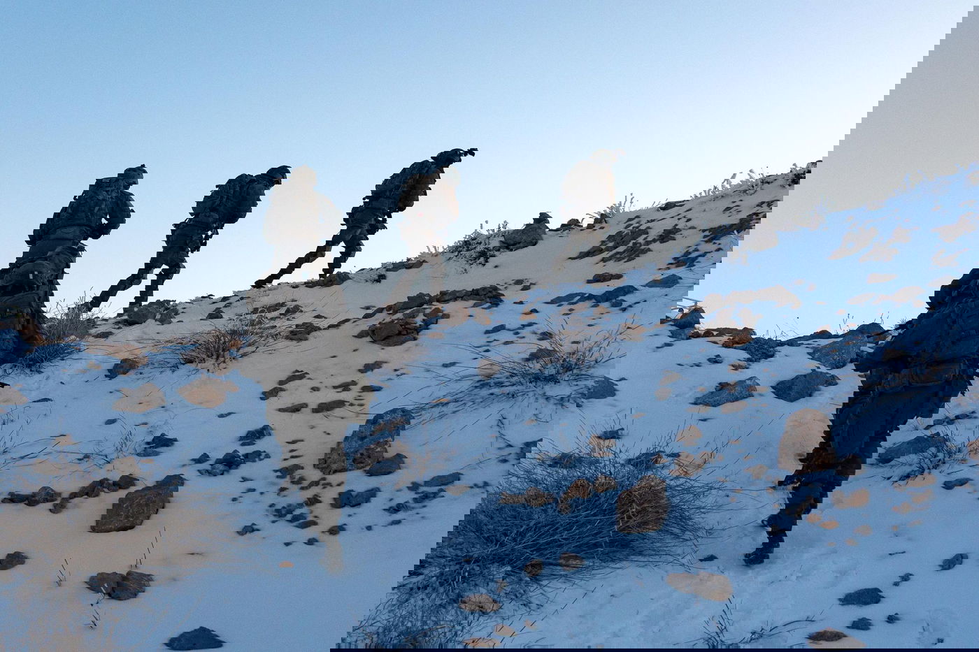 היערכות בגבול הצפון