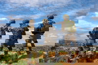 היערכות בגבול הצפון