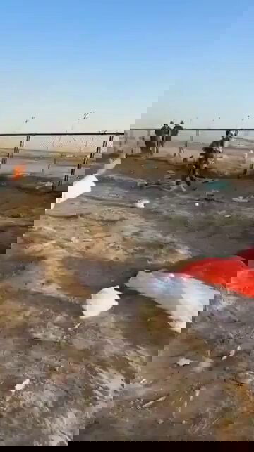 נפילת מטוס קרב בכווית