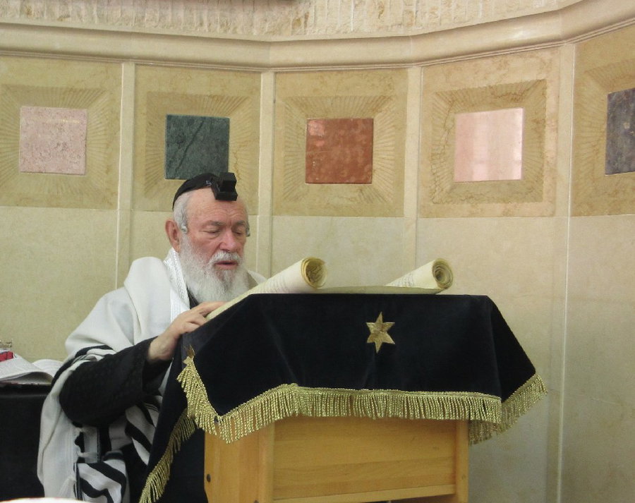 הגאון רבי יצחק זילברשטיין בקריאת המגילה