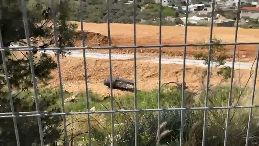 הזירה בפתח תקווה