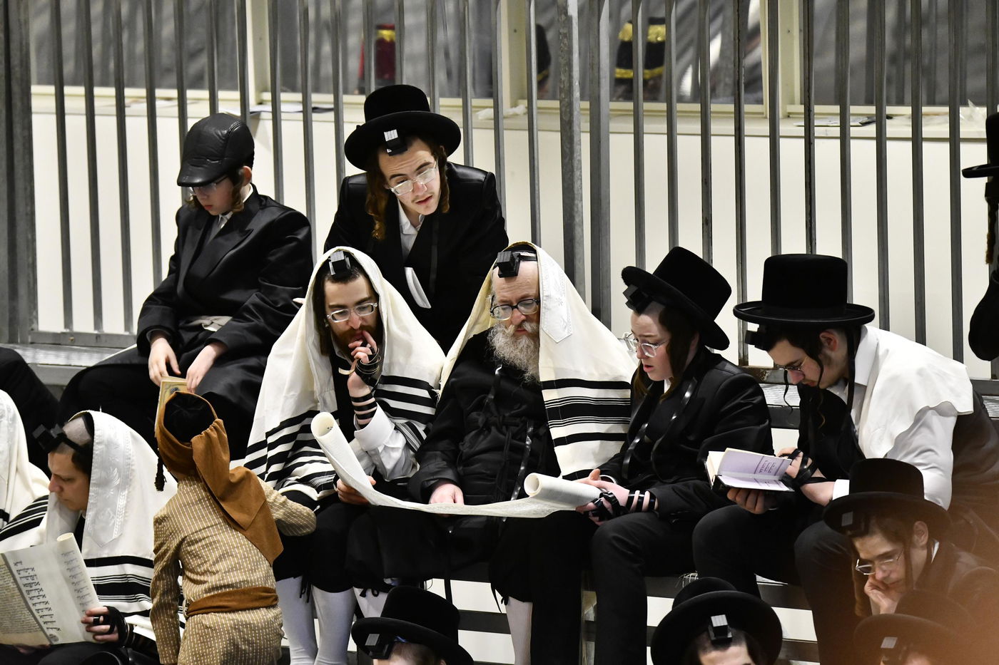 הרב שלמה קליין מסופרי המלך בקריאת המגילה בויז'ניץ