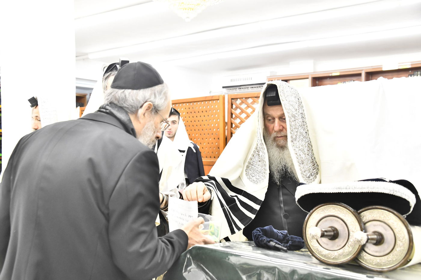 פורים בחצה"ק וואסלוי