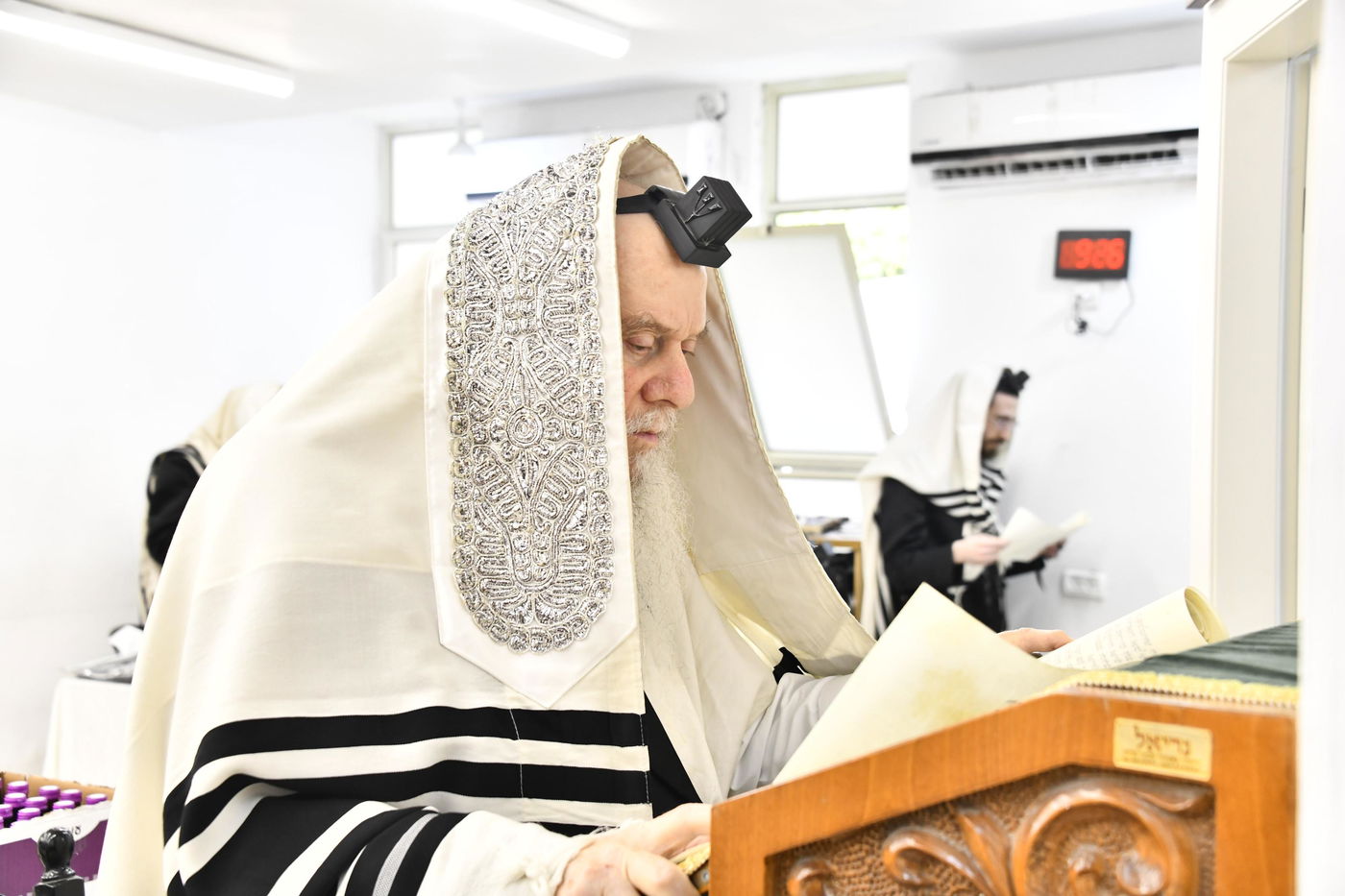 פורים בחצה"ק וואסלוי