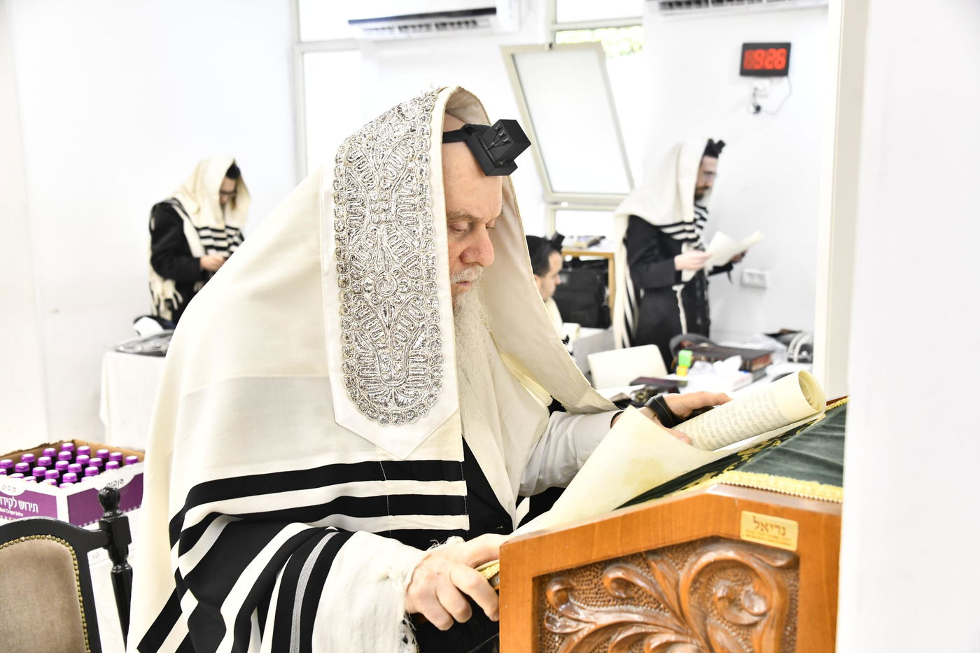 פורים בחצה"ק וואסלוי