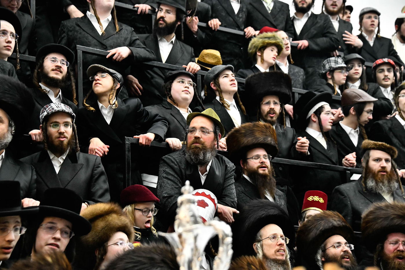 פורים בחצה"ק נדבורנה