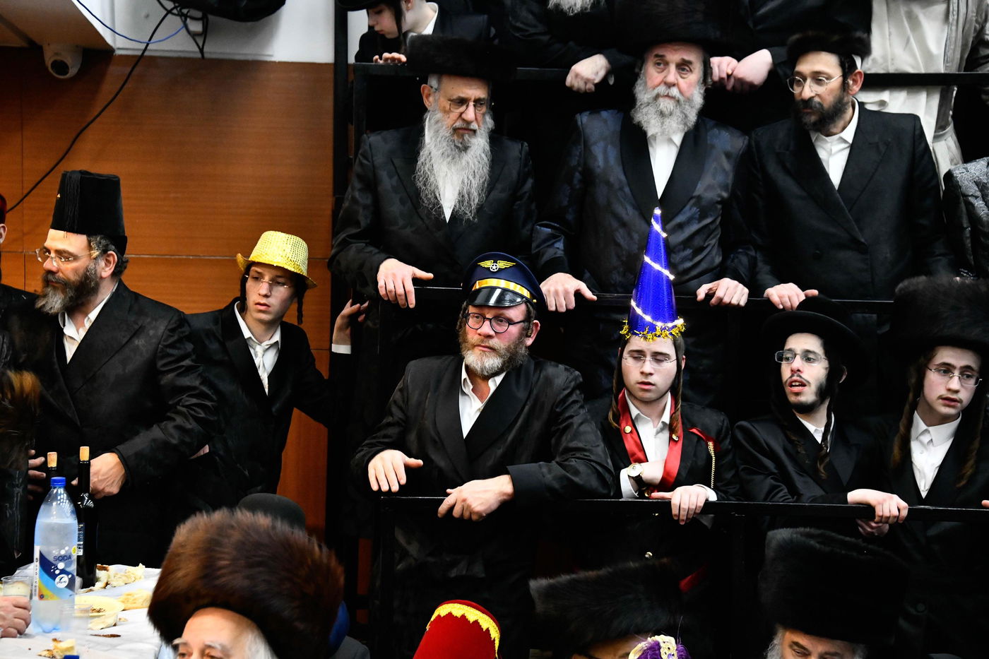 פורים בחצה"ק נדבורנה