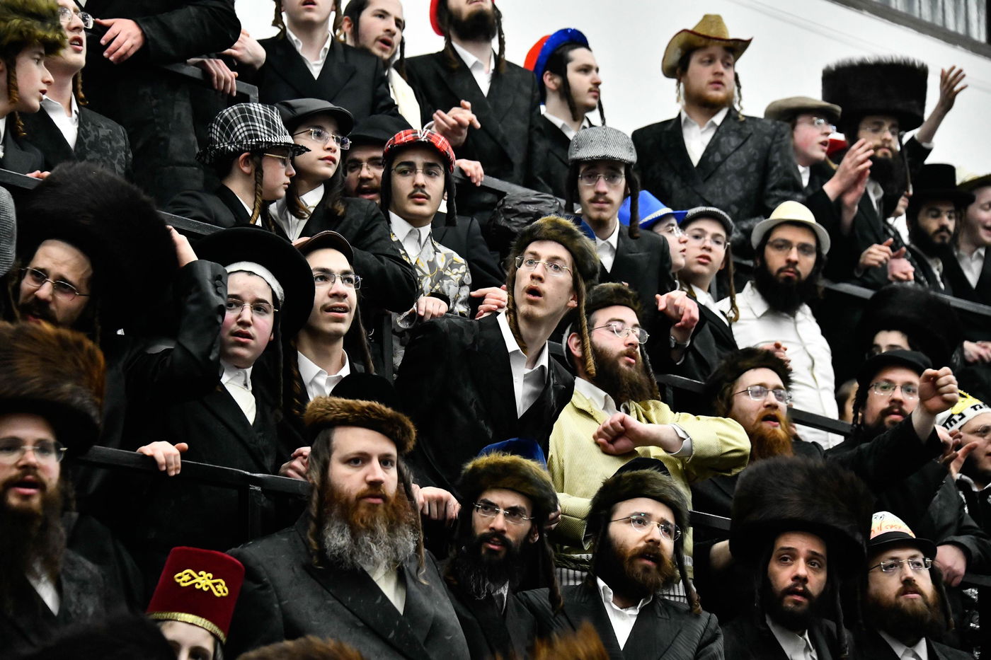 פורים בחצה"ק נדבורנה