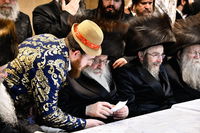 פורים בחצה"ק נדבורנה