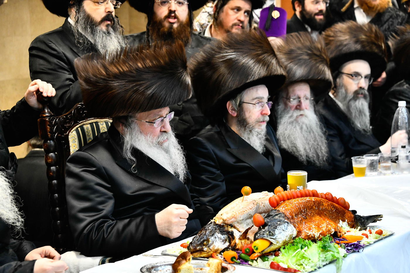 פורים בחצה"ק נדבורנה