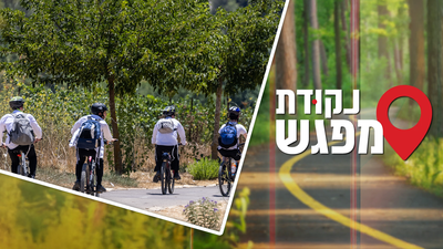 אילוסטרציה