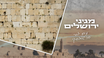 חדשנות בכותל המערבי: מסע בין עבר, הווה ועתיד; "מגיני ירושלים" • הסוף