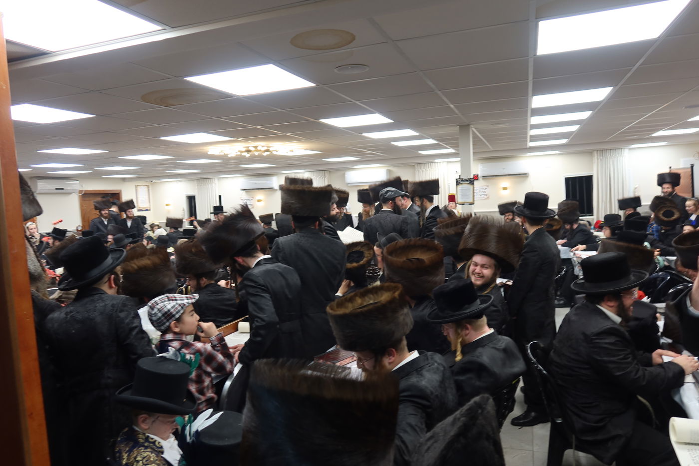 פורים בחצה"ק זוועהיל