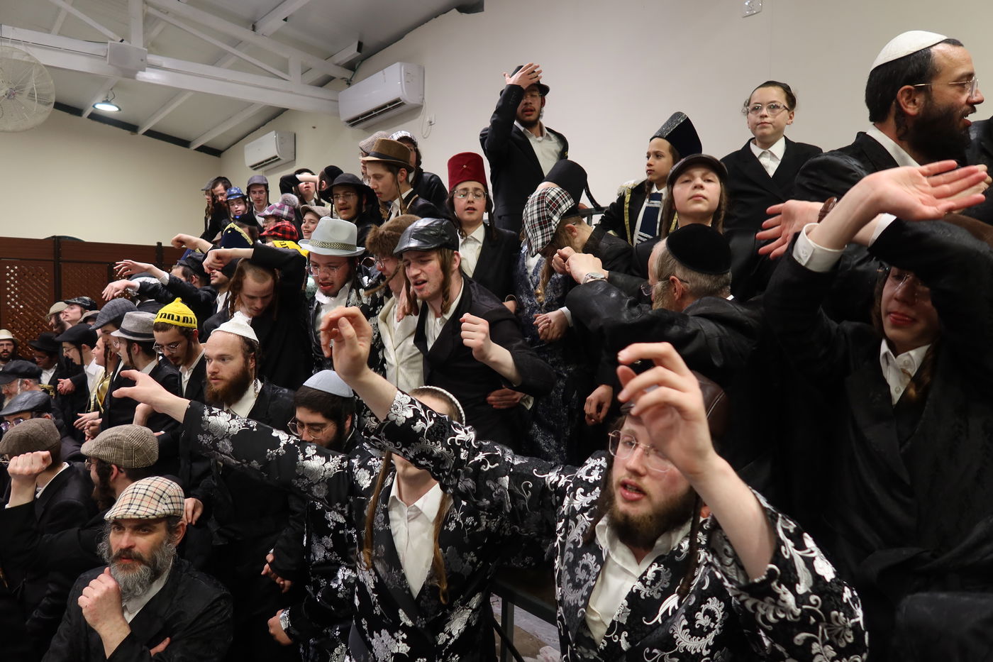 פורים בחצה"ק זוועהיל