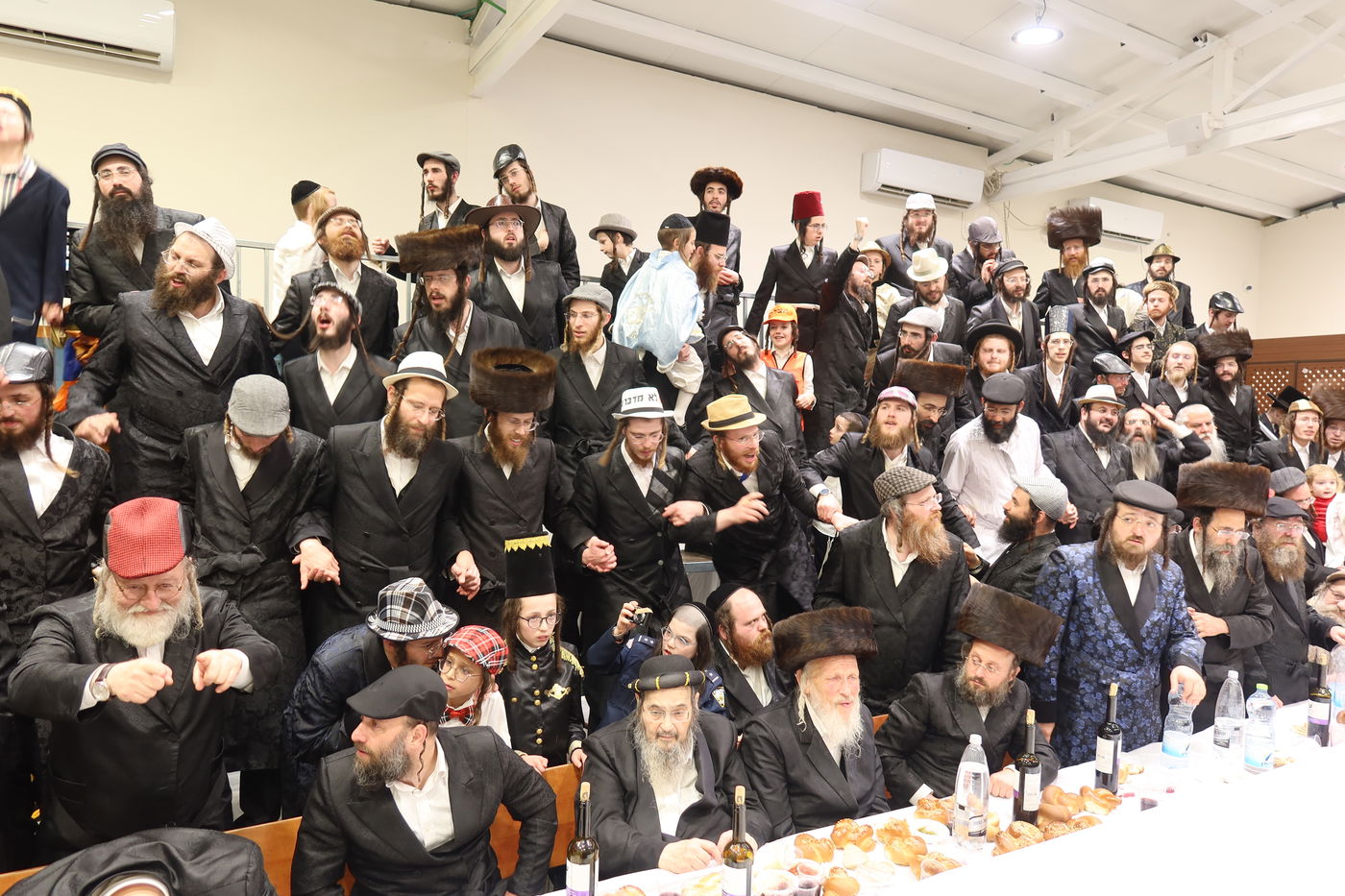 פורים בחצה"ק זוועהיל