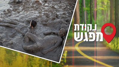 אילוסטרציה