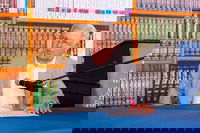 ג'יי שוטנשטיין