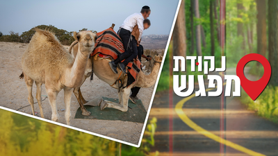 אילוסטרציה