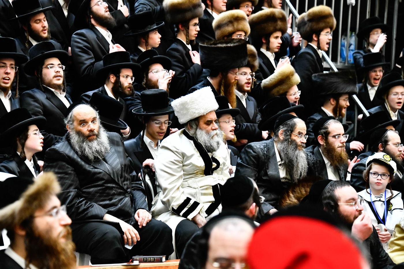 פורים בחצה"ק ויז'ניץ