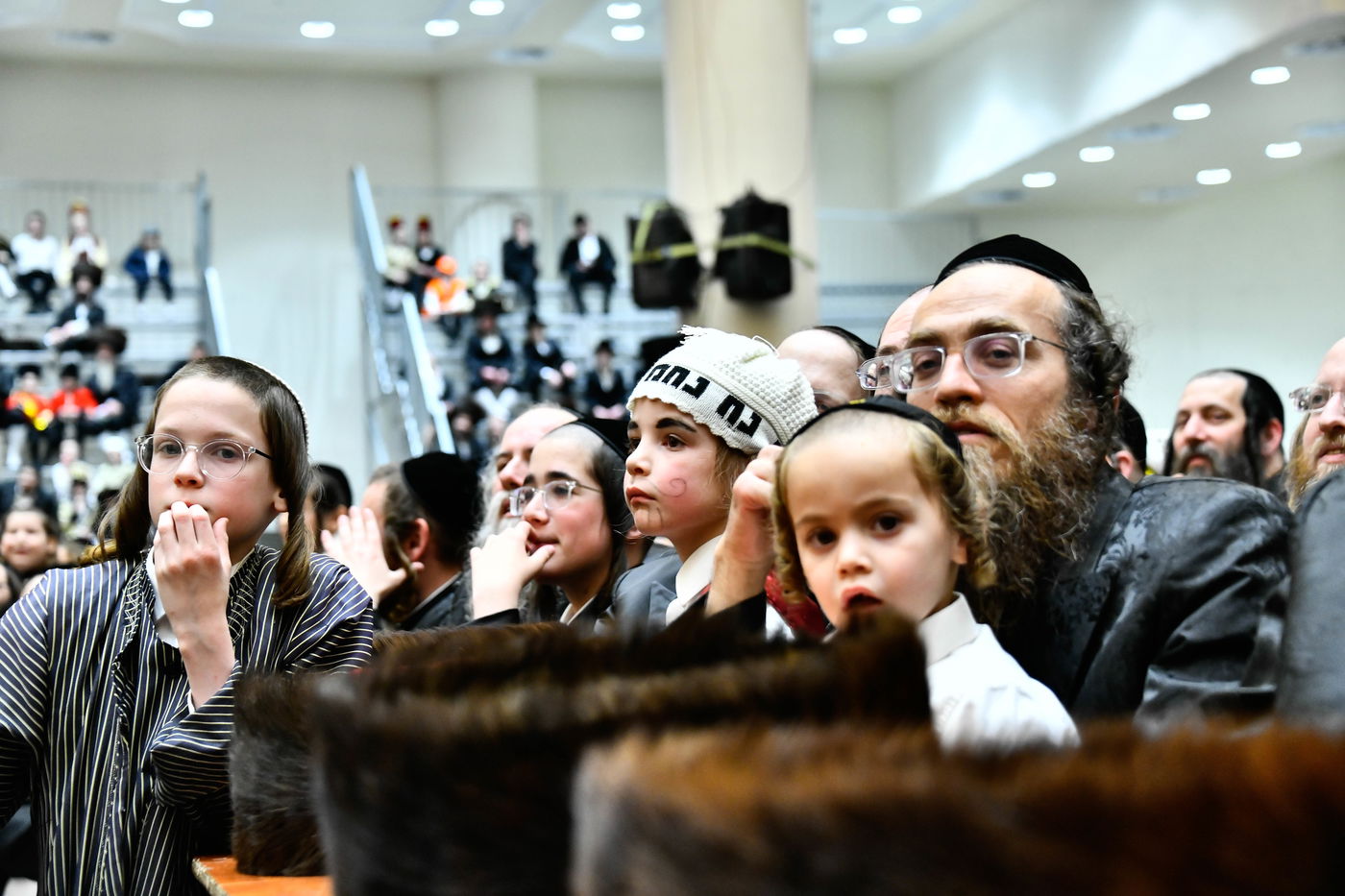 פורים בחצה"ק ויז'ניץ