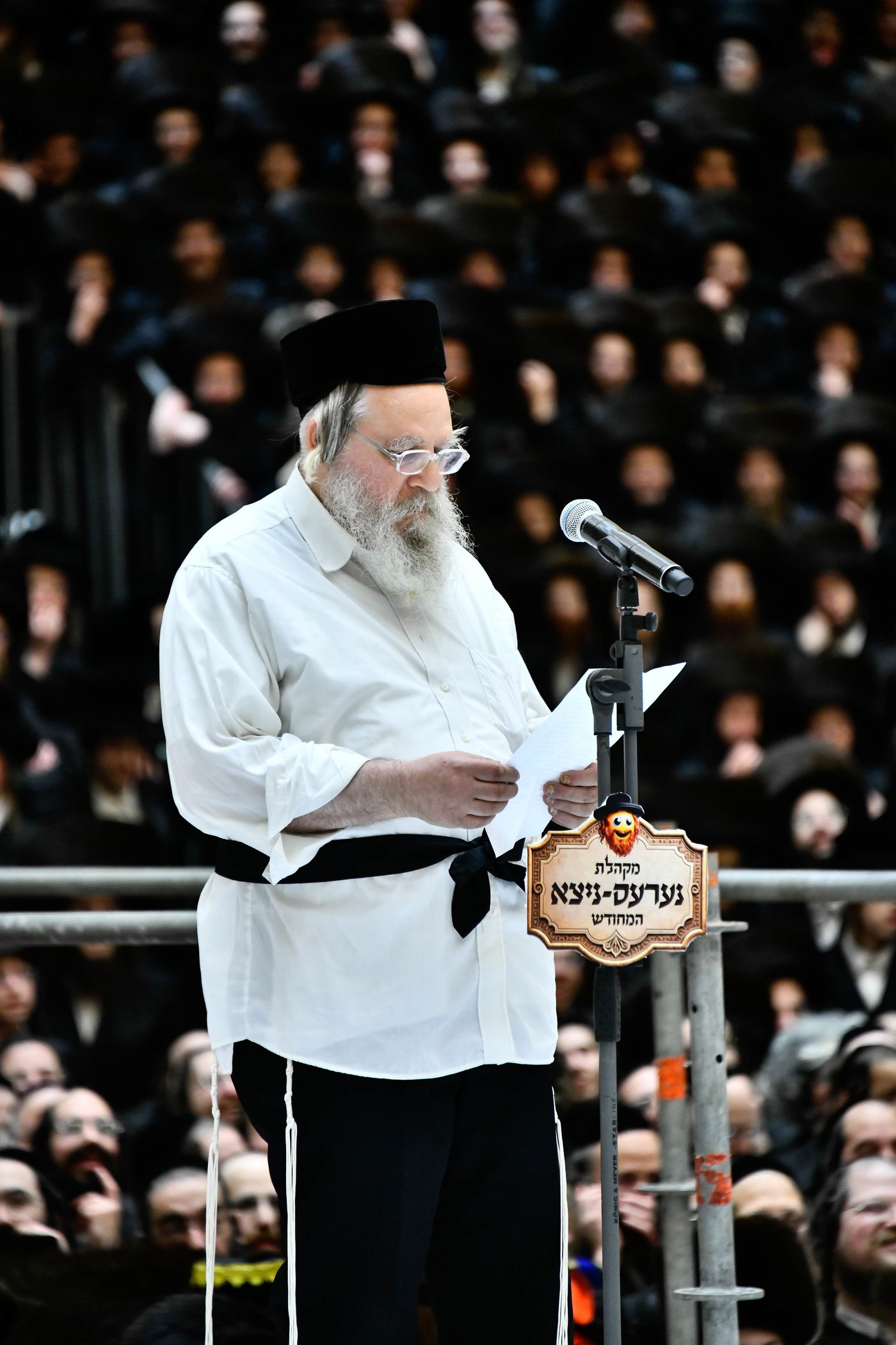 החזן המיוחד בפורים בחצה"ק ויז'ניץ