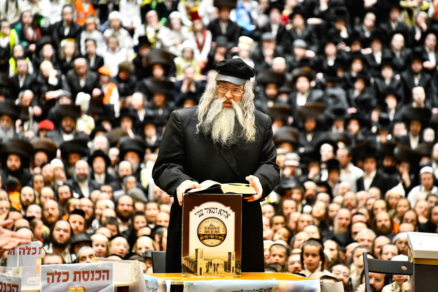 פורים בחצה"ק ויז'ניץ