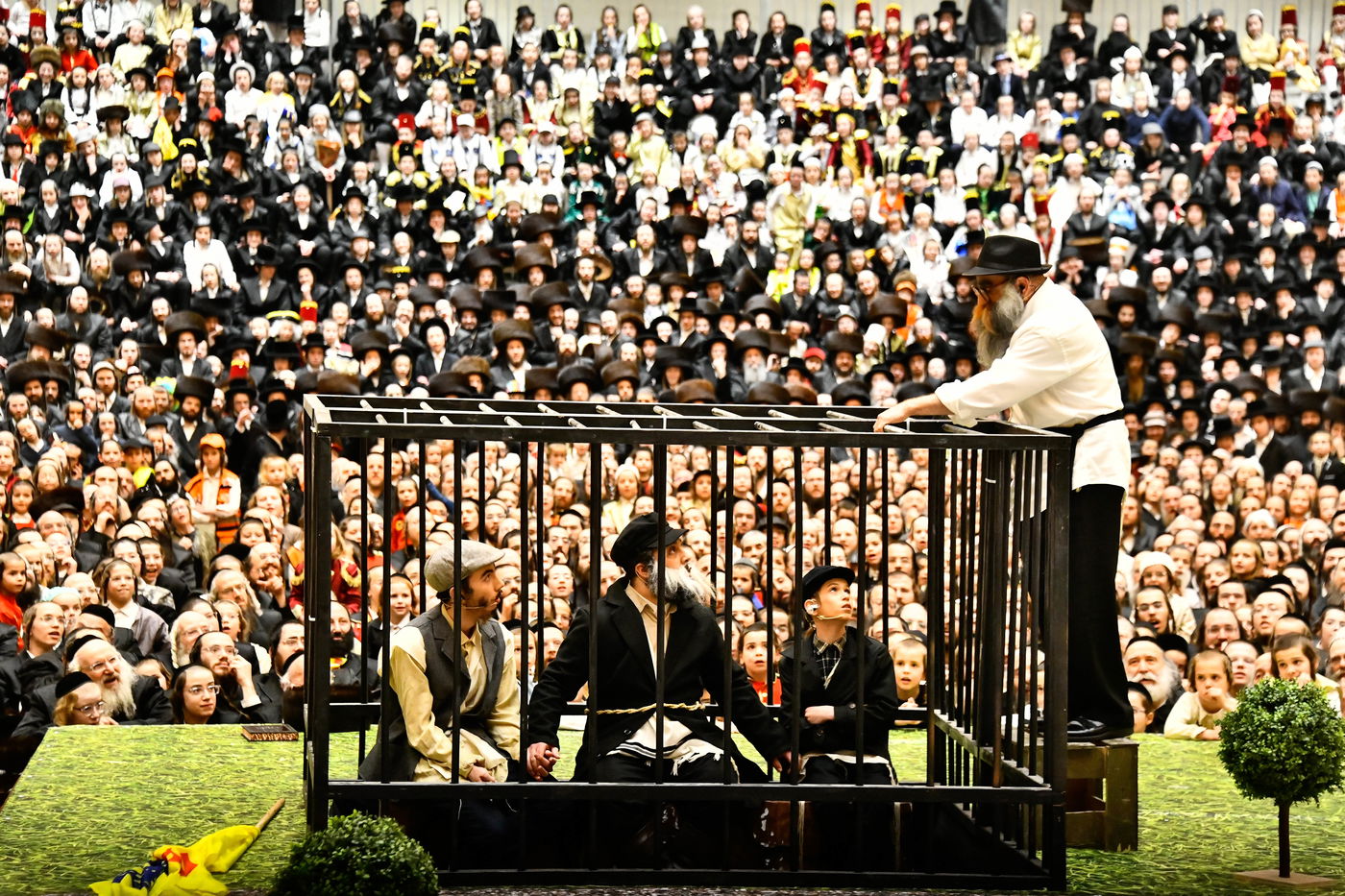 פורים בחצה"ק ויז'ניץ