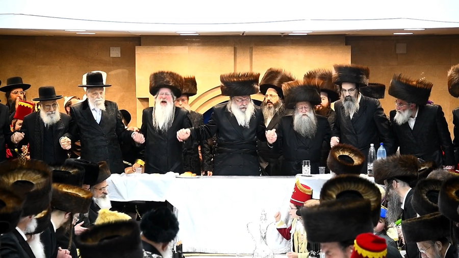 פורים בחצה"ק נדבורנה