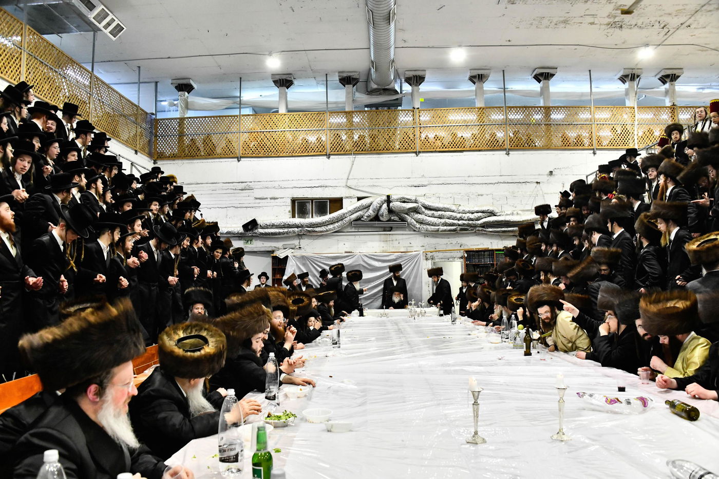 פורים בחצה"ק מכנובקא בעלזא