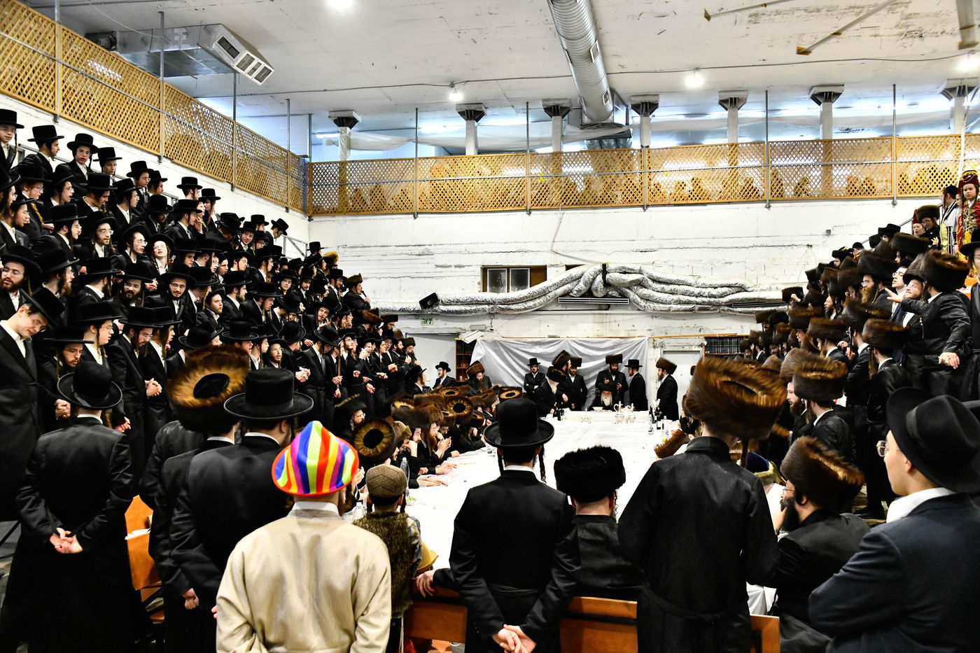 פורים בחצה"ק מכנובקא בעלזא